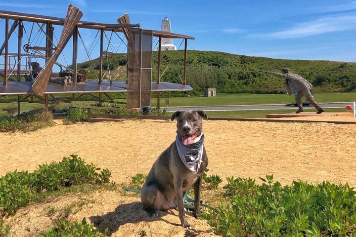 Seamus the dog touring Wright Brothers National Memorial.