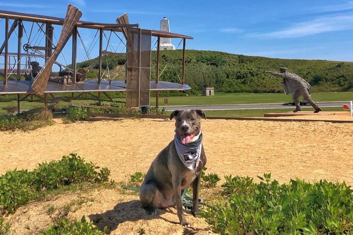 BringFido's Guide to The Outer Banks