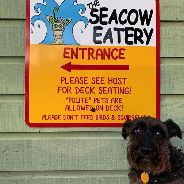 SeaCow Eatery restaurant view 2