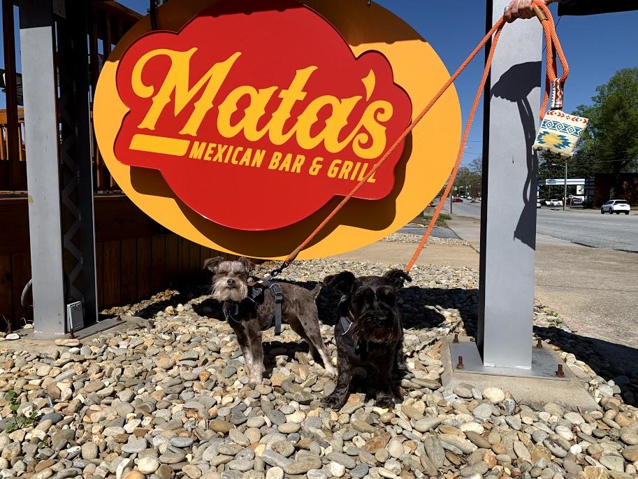 Mata's Mexican Bar & Grill restaurant view 3