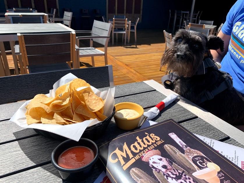 Mata's Mexican Bar & Grill restaurant view 2