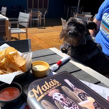 Mata's Mexican Bar & Grill restaurant view 2