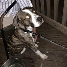 Castaways restaurant view 9