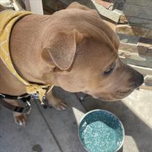 Main Kitchen Cafe restaurant view 1