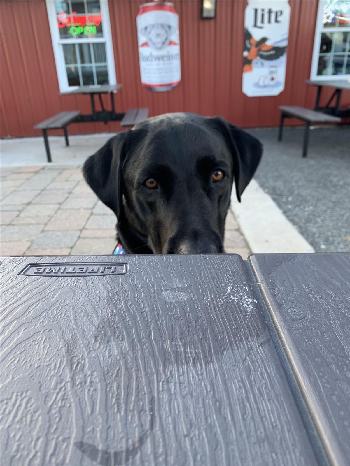 Stewartstown Smokehouse and Beer Barn restaurant view 2