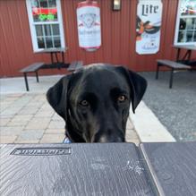 Stewartstown Smokehouse and Beer Barn restaurant view 2