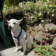 Picante Cocina Mexicana restaurant view 1