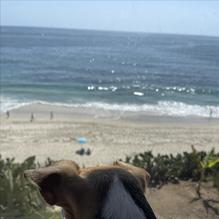 The Cliff restaurant view 5