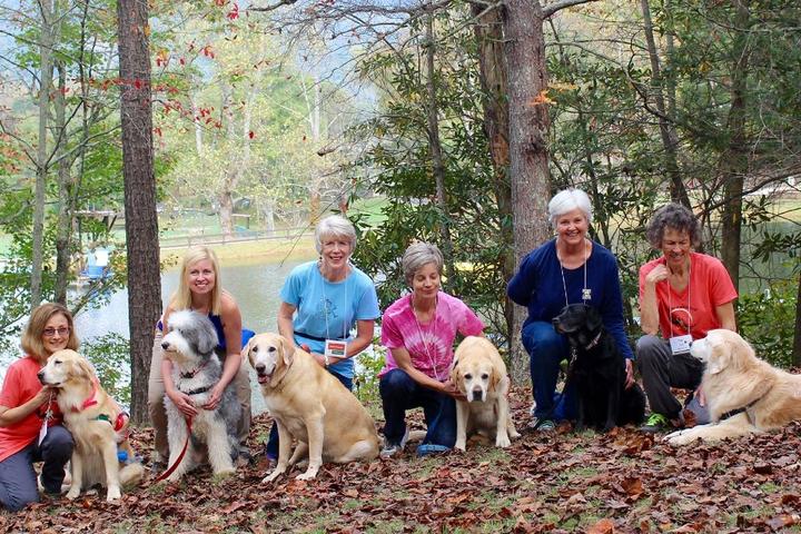 Dogs and their owners at Camp Unleashed.