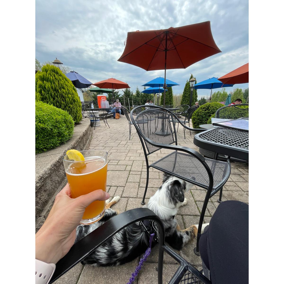 Blue Mountain Brewery restaurant view 4
