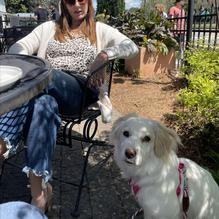 Ipp's Pastaria & Bar restaurant view 1