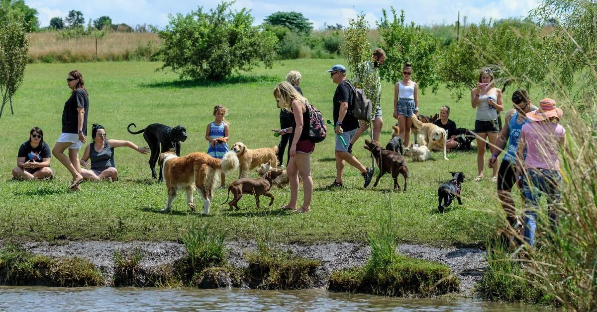 The World’s Largest Dog Parks