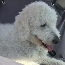 Barnacle Billy's restaurant view 1