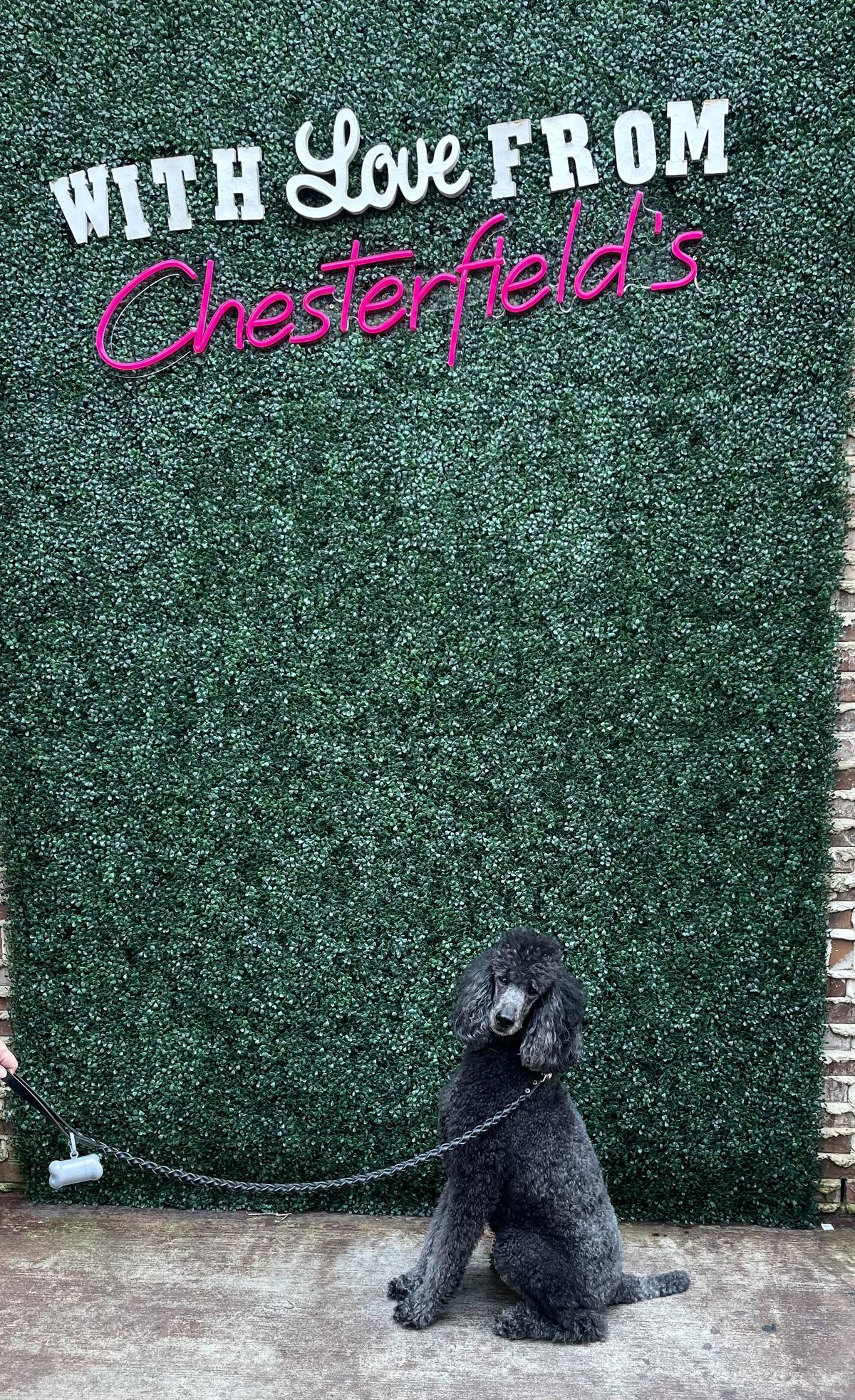 Chesterfield's restaurant view 2