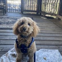 Grain H2O restaurant view 3