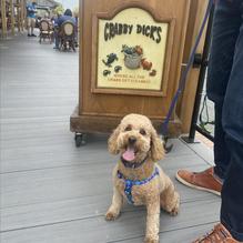 Crabby Dicks restaurant view 3