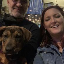 Dogfish Head Brewings & Eats restaurant view 6