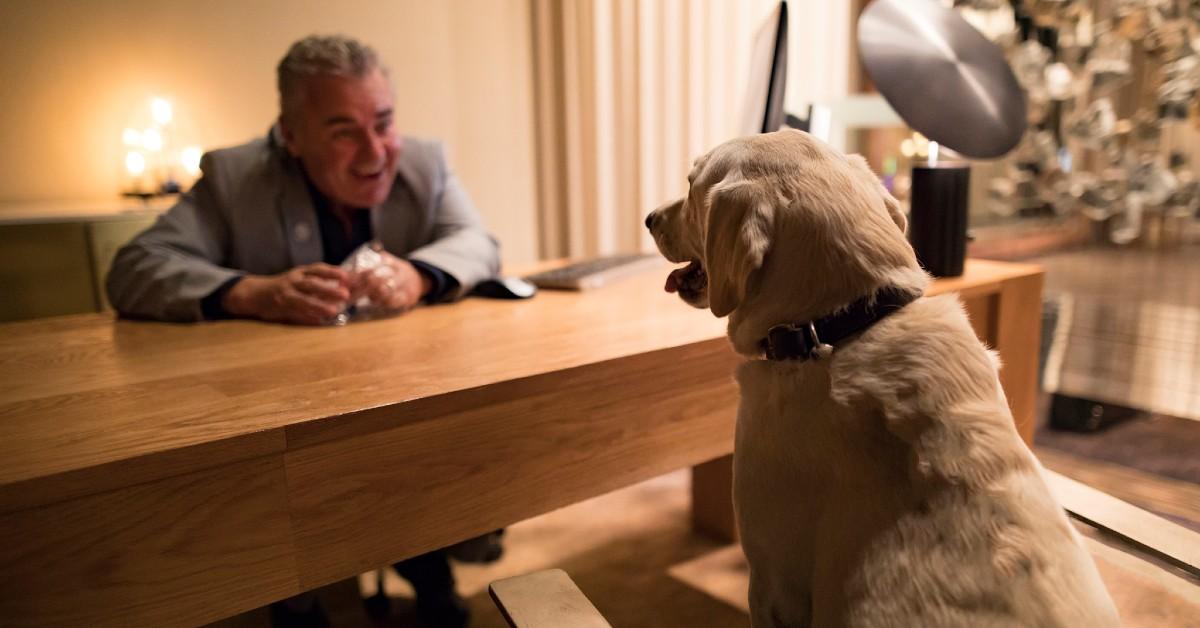 The Butler Did It: Hotels With Doggie Butler Service