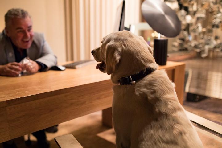 The Butler Did It: Hotels With Doggie Butler Service