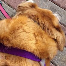 La Bodega restaurant view 1