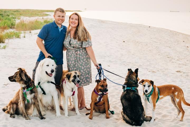 Leashed dogs on the beach at Dauphin Island.
