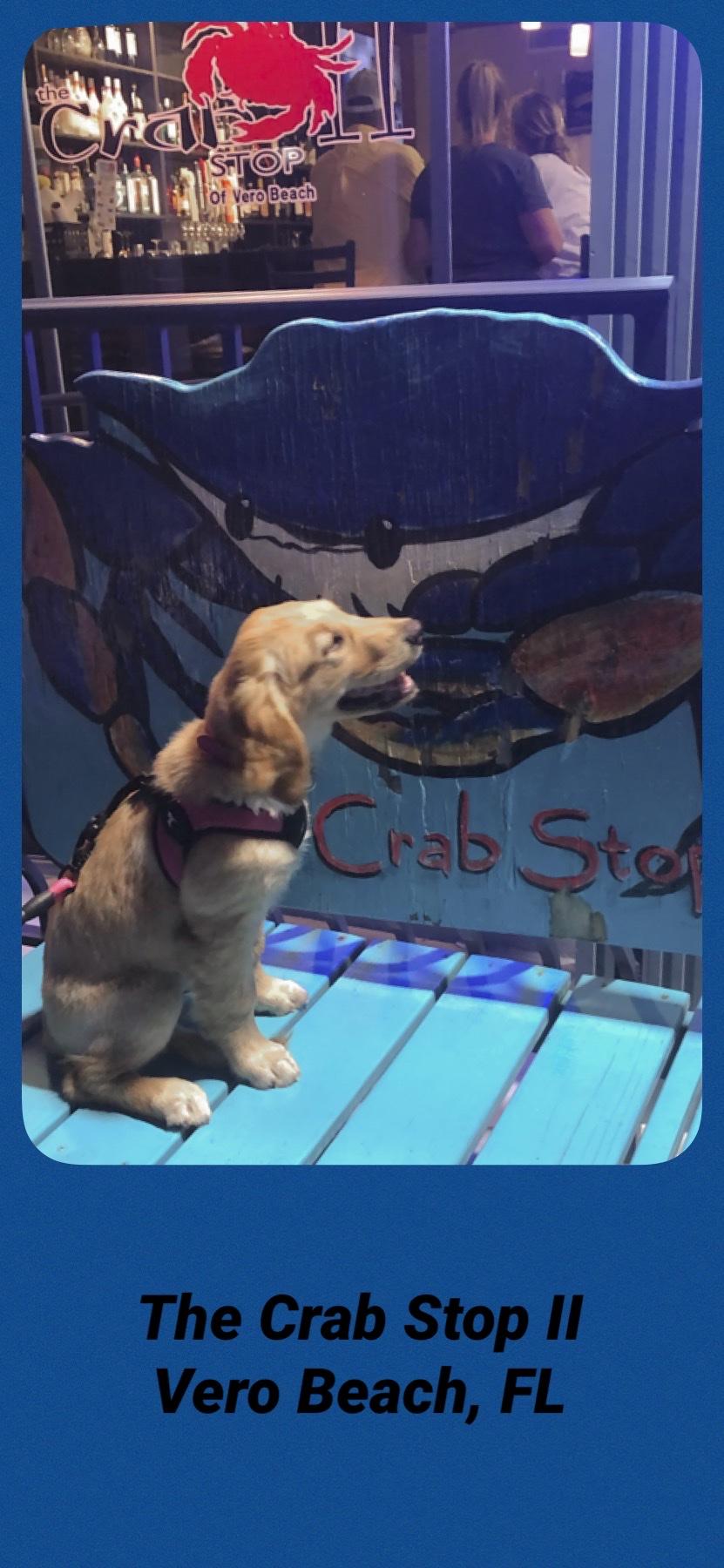 The Crab Stop restaurant view 2