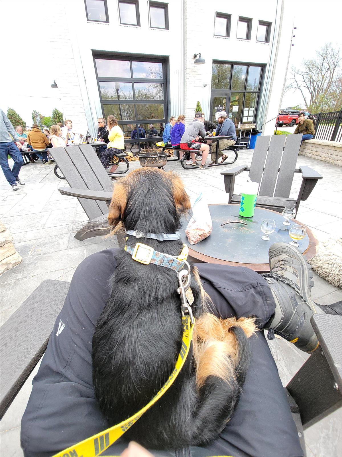 Goshen Brewing Company restaurant view 1