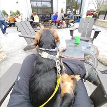 Goshen Brewing Company restaurant view 1