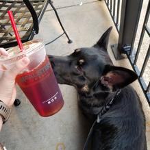 McAlister's Deli restaurant view 1