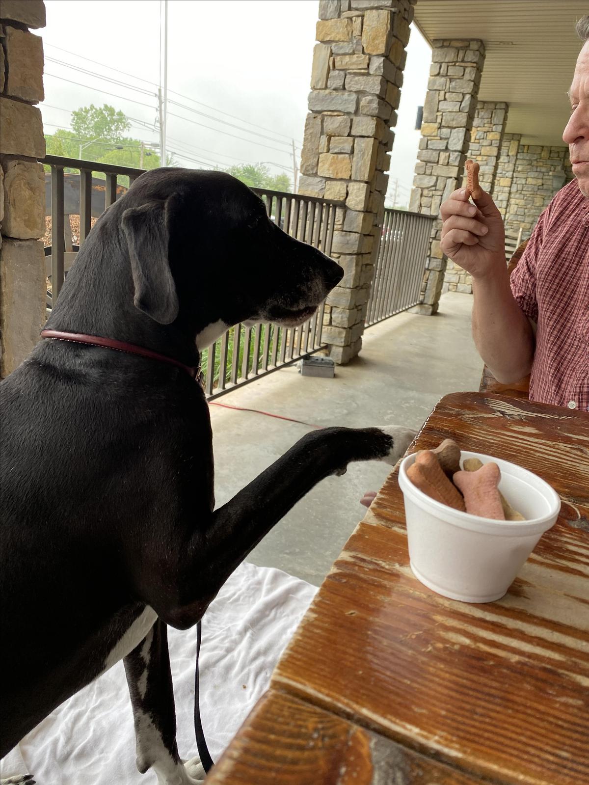 Stone Mill BBQ and Steakhouse restaurant view 3