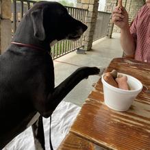 Stone Mill BBQ and Steakhouse restaurant view 3