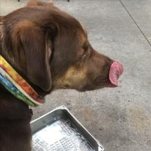 D. Rowe's restaurant view 2