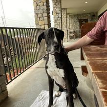 Stone Mill BBQ and Steakhouse restaurant view 2