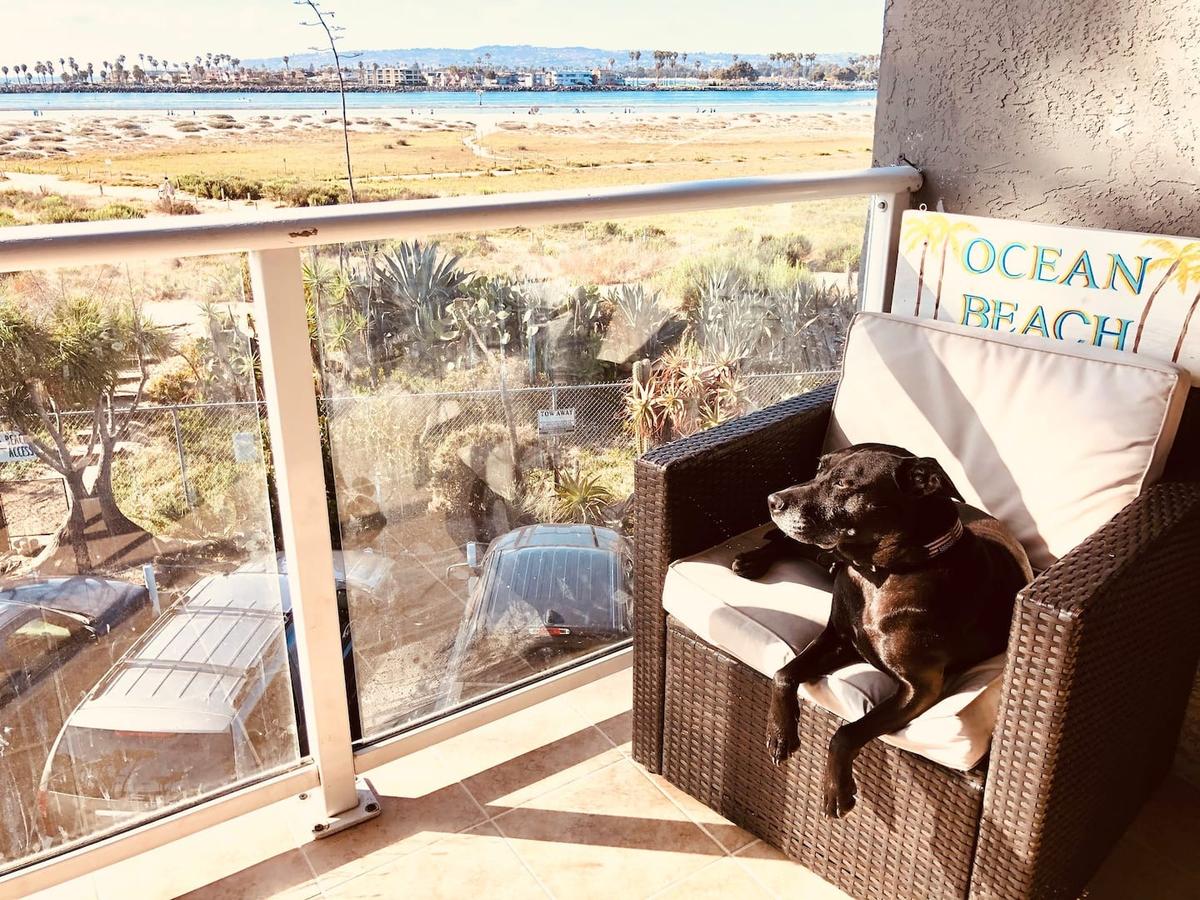 Beach house pet friendly 2025
