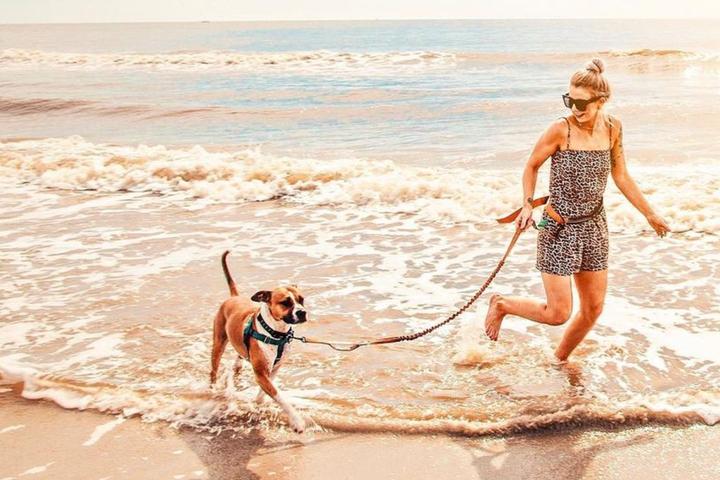 Dog and person run in the surf at pet-friendly island getaway.