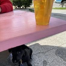 Full Stop Station restaurant view 1