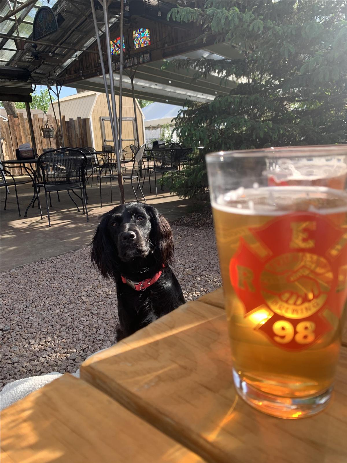 Friendship Brewing Company restaurant view 1