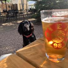 Friendship Brewing Company restaurant view 1