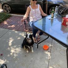 The Great Pizza Company restaurant view 1