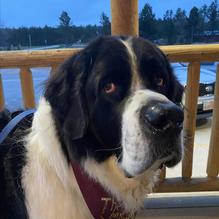 The Gaslight restaurant view 3