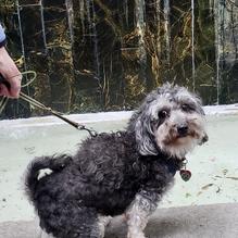 Square One Brewery & Distillery restaurant view 5