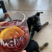 Milo's Cellar restaurant view 1