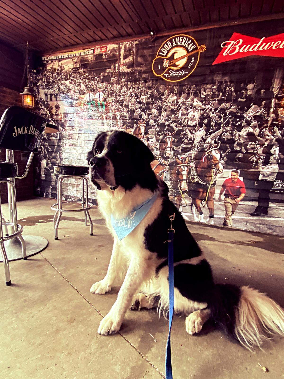 Loud American Roadhouse restaurant view 4