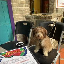 Original Mexican Restaurant restaurant view 1