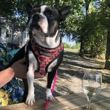 Luxe Espresso & Wine Bar restaurant view 1