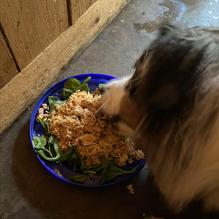 Elote Cafe and Catering restaurant view 5