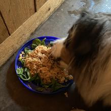 Elote Cafe and Catering restaurant view 3