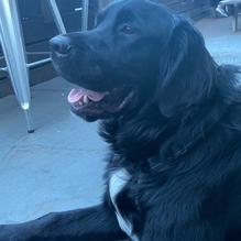 Swingbelly's Beachside BBQ restaurant view 1