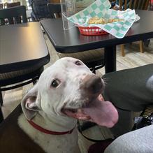 Benjamin's Bakery & Cafe restaurant view 1