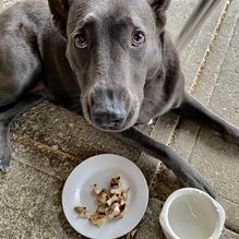Flamme Burger Keystone restaurant view 1